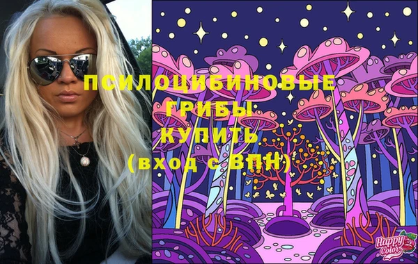 индика Белоозёрский