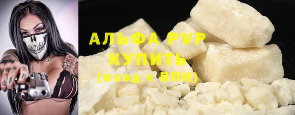 индика Белоозёрский