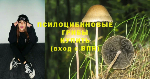 метадон Белокуриха