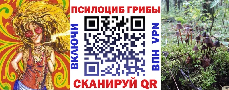 купить наркоту  Пятигорск  Псилоцибиновые грибы ЛСД 